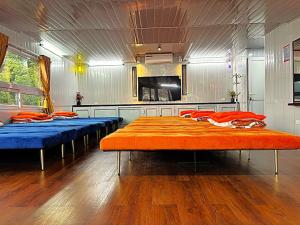 Chân Mây Tam Đảo