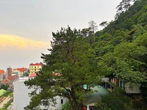 Chân Mây Tam Đảo