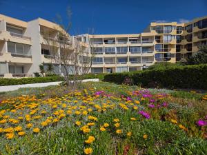 Appartements Studio plein sud le ciel le soleil et la mer : photos des chambres