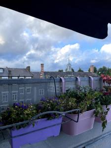 Welcoming getaway Flat, Holloway Road