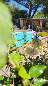 Entre les pins et les oliviers