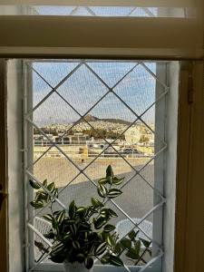 Beautiful Studio in Pangrati Mets Next to the Panathenaic Stadium