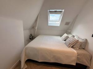 Air-Conditioned Penthouse Loft with Rooftop Terrace in Oud-Zuid