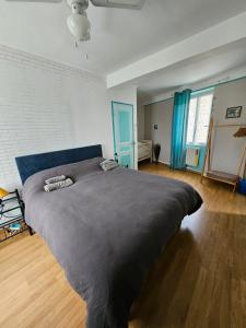 Maisons de vacances L-ecrin Occitan maison climatisee : photos des chambres