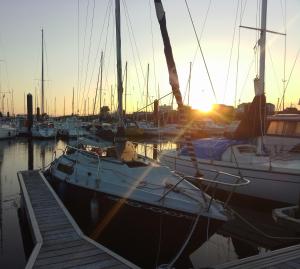 Bateaux Calais Boat : photos des chambres