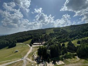 Appartements Spacieux Appartement au Pied des Pistes - FR-1-814-21 : photos des chambres