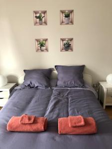 Appartements Le Colbert : photos des chambres