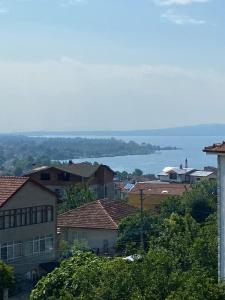 bahçeli ve göl manzaralı ev