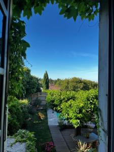 Maisons d'hotes Casa 55 : photos des chambres