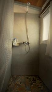 B&B / Chambres d'hotes Les chambres d'Elise : photos des chambres