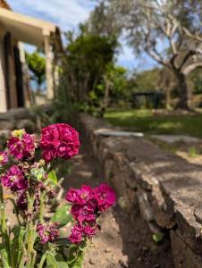 Charming Sardinian Dream Home img31