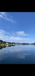 Haraldseidvågen gjestgjevarstad