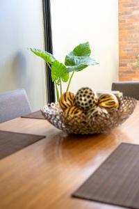 Residencia Galicia Family