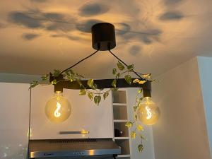 Appartement reposant