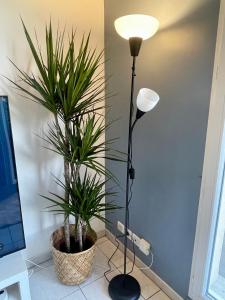 Appartement reposant