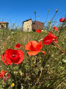 Stenata LightWill - 3hvězdičkové hotely ve městě Banja