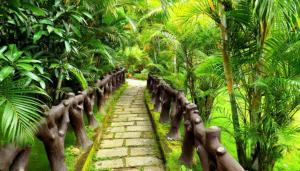 The Crescent Wayanad Heritage Pool Resort