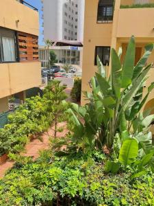 Apartamento ideal en la playa