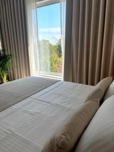 Studio Tabacariei 5A