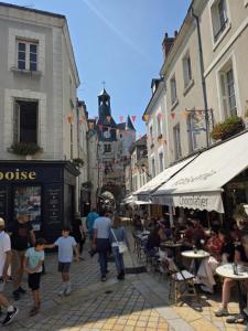 Appartements Amboise centre ville - Cocon Royal a deux pas du Chateau : photos des chambres