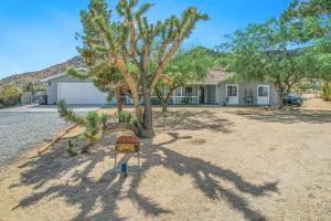 Romantic Secluded Hot Tub Fire Pit