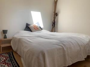 Amazing Mt Blanc View 2 Bed, Parking, 10mins walk