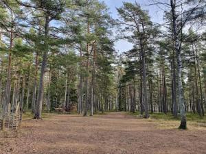 Lakeside Cabin with Panoramic Views