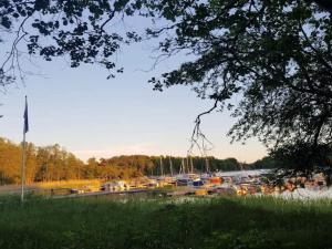Lakeside Cabin with Panoramic Views
