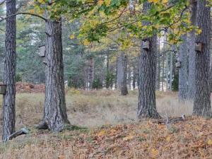 Lakeside Cabin with Panoramic Views