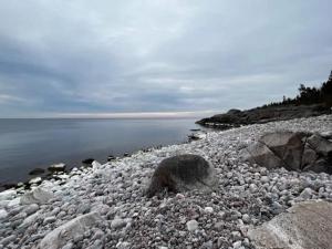 7 person holiday home in GRISSLEHAMN-By Traum