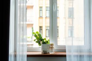 City Comfort Stay - 2 Bedroom Apartment