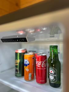 Wolf Ridge Montenegro