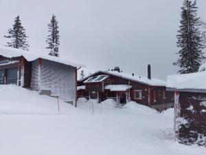 Kiisa A&B two apartments with aurora room