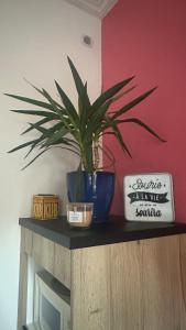 Appartements Au Petit Relais : Appartement 1 Chambre