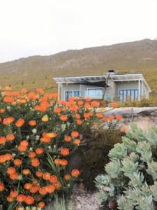 Barbers Trail Lodge - Modern Comfort, Wild Beauty