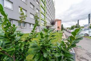 Apartment Krivá Košice