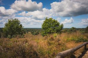 Tiny House Hellendoorn