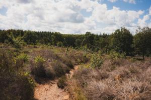 Tiny House Hellendoorn