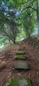 2 BR Condo near San Jose, Costa Rica