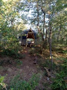 Domo conguillío glamping