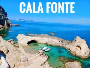 Ponzamania Casa dei fiori