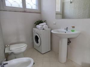 Home among the olive trees