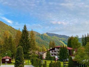 MONTANA TIMALY Poiana Brașov