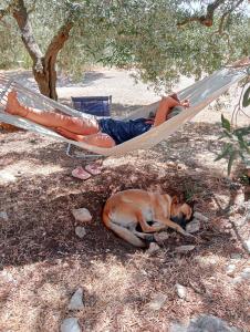 Wishne agriturismo in tende glamping