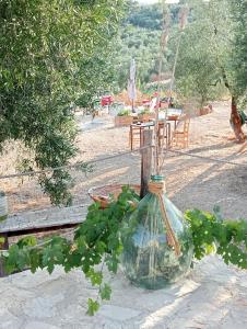 Wishne agriturismo in tende glamping