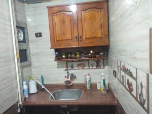 Grand Egyptian Museum Star House