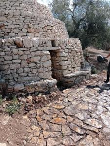 Wishne agriturismo in tende glamping