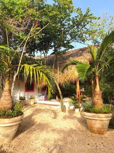 Ki-Ra Holistic Living