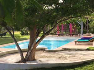 Ki-Ra Holistic Living