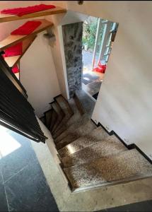 House with garden in the city center